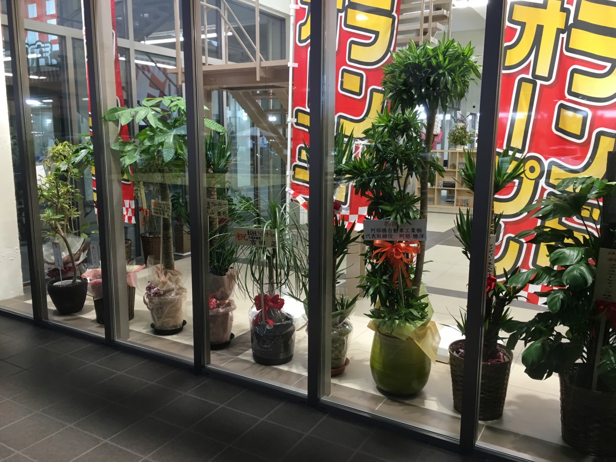 写真 2016-01-15 17 27 33