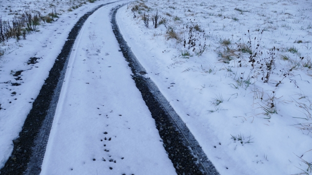 雪道