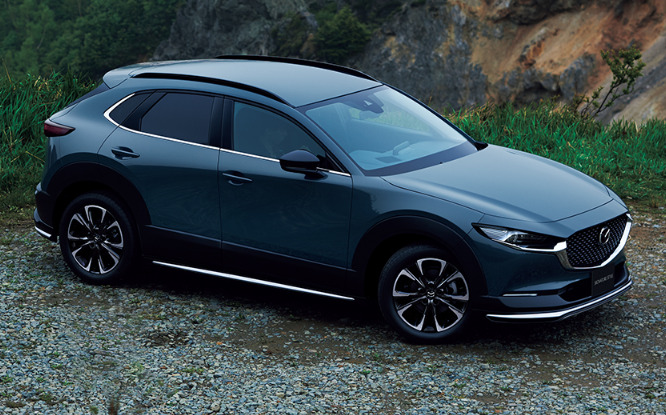 CX-30