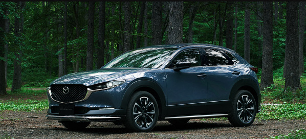 CX-30