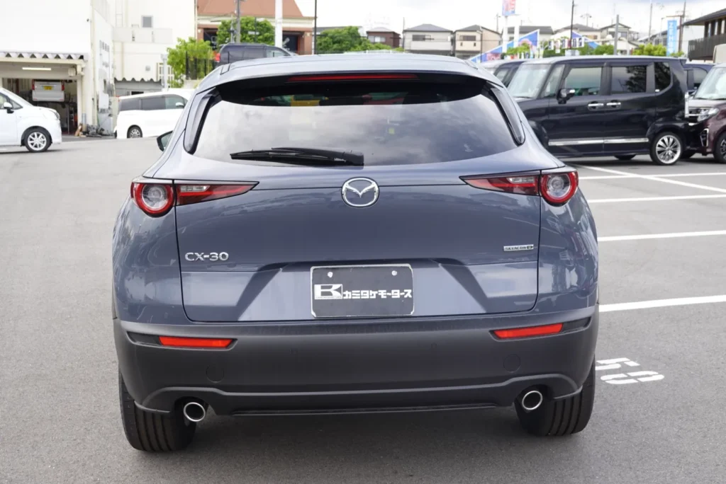 CX-30