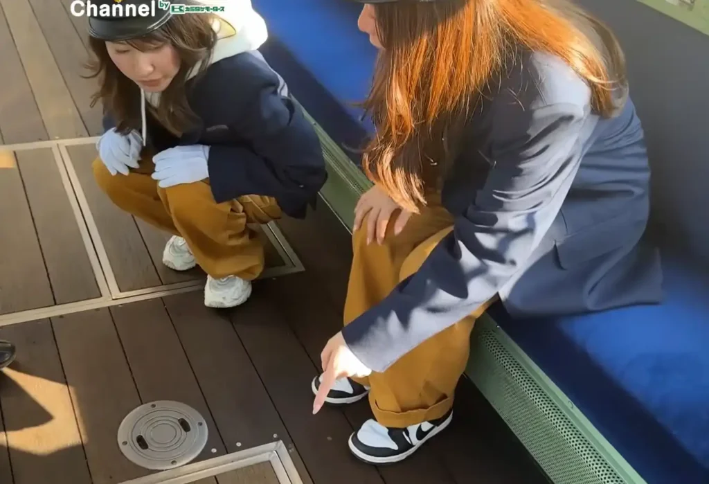 50形内装