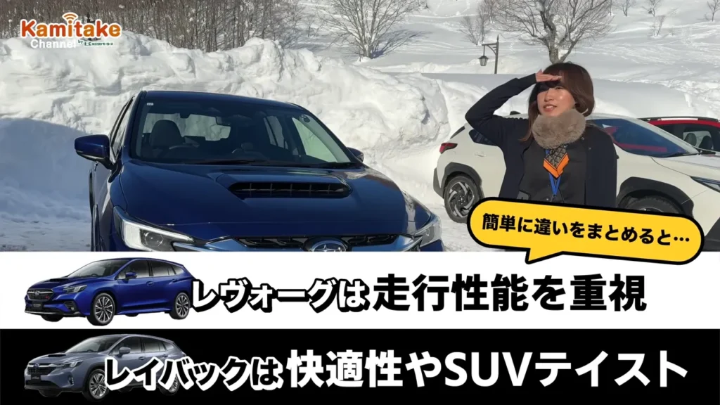 レヴォーグレイバック