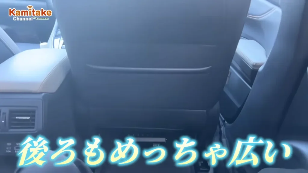 レヴォーグレイバック