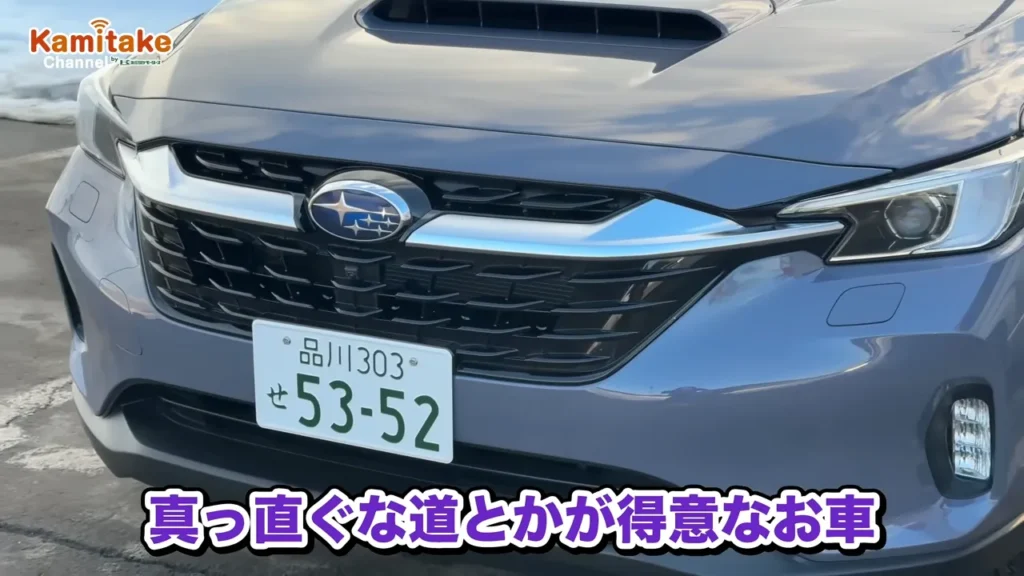 レヴォーグレイバック