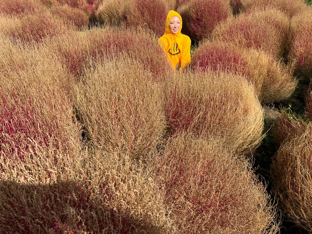 ヴェルファイア旅