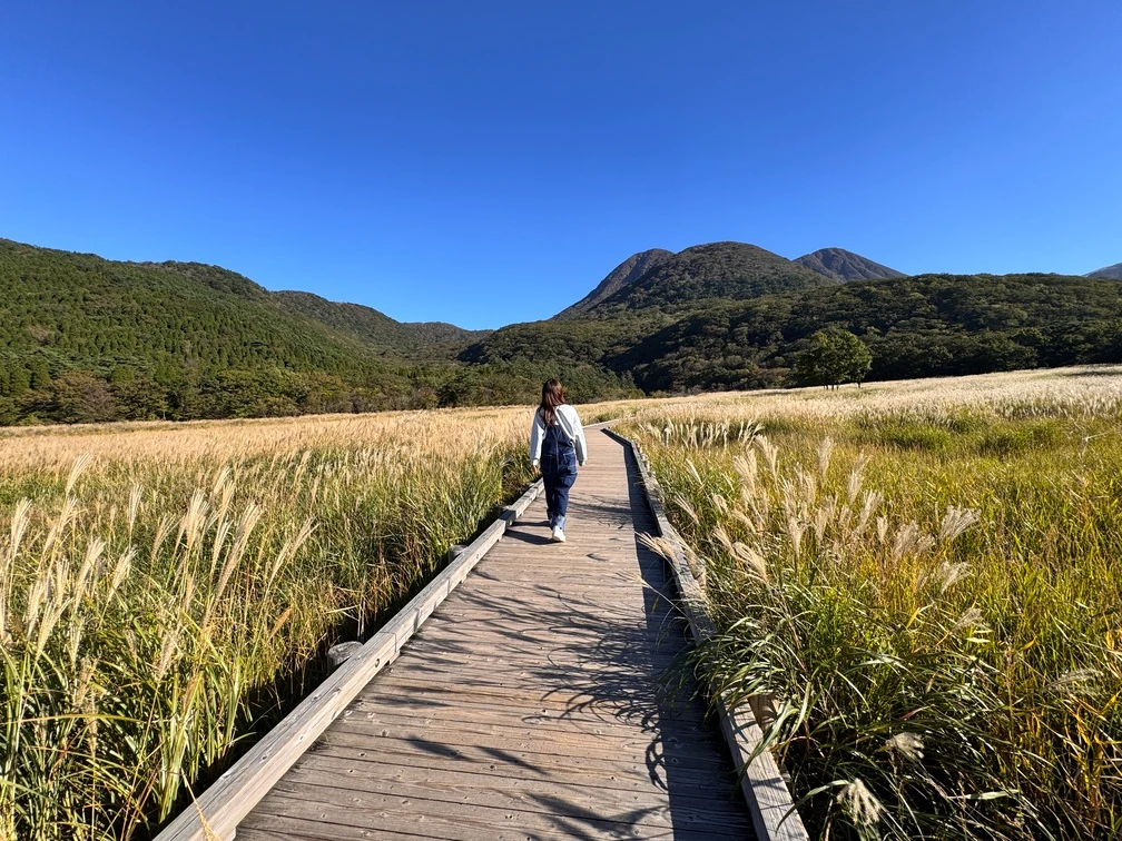 ヴェルファイア旅