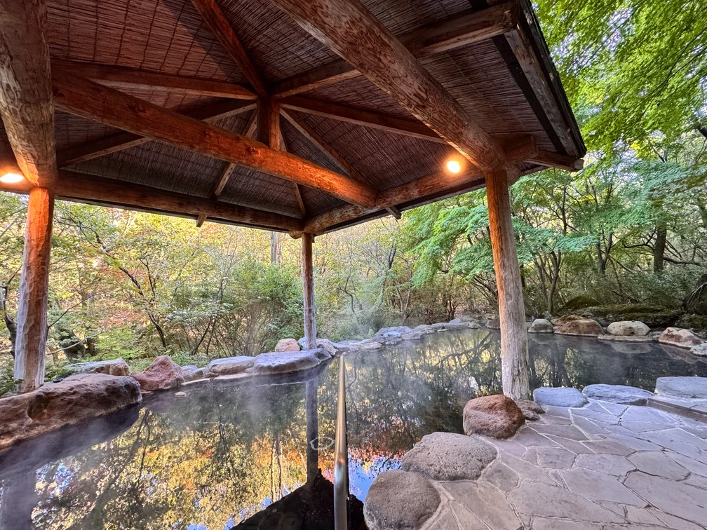 ヴェルファイア旅