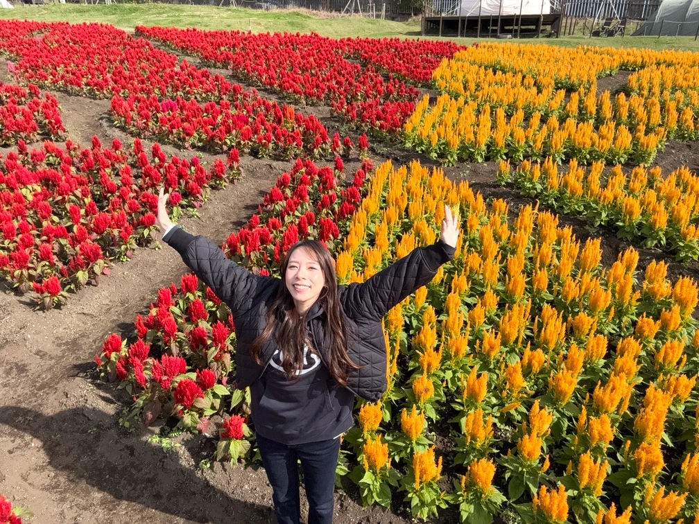 ヴェルファイア旅