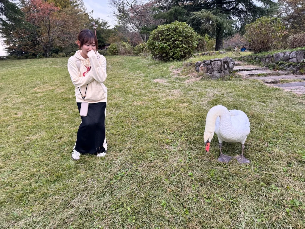 ヴェルファイア旅