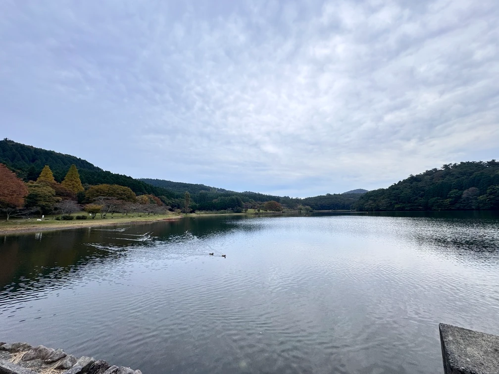 ヴェルファイア旅