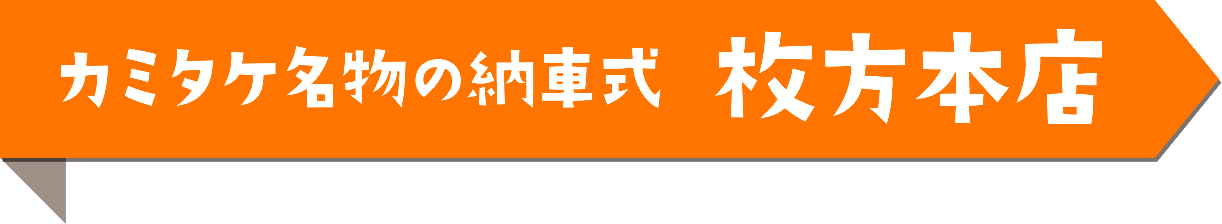 カミタケ名物の納車式 枚方本店