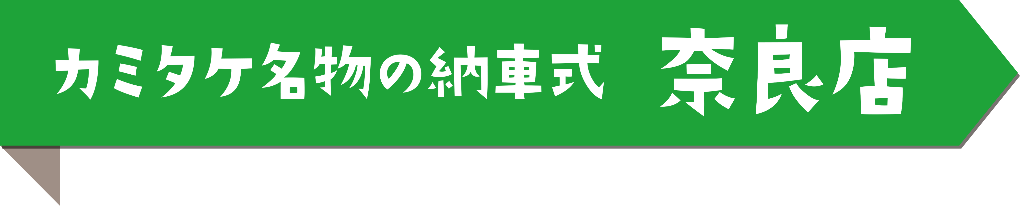 カミタケ名物の納車式 奈良店