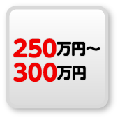 250万円以上300万円未満