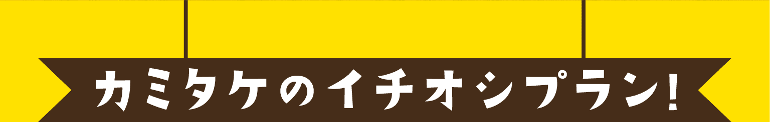 カミタケのイチオシプラン!