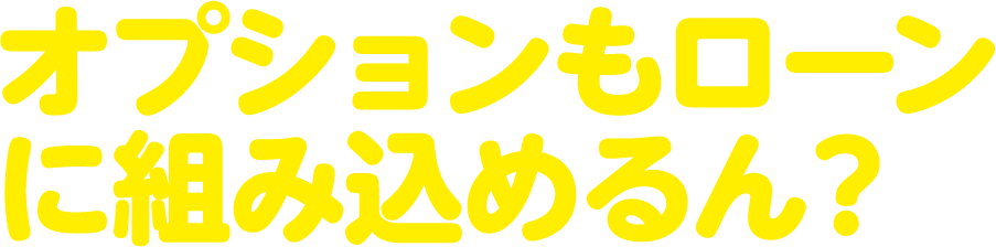 オプションもローンに組み込めるん？