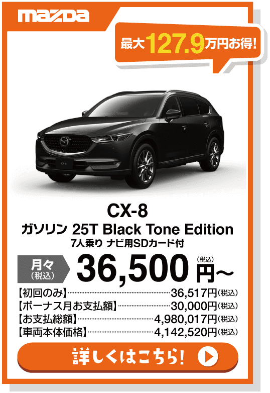 X-8 ガソリン 25T Black Tone Edition 7人乗り ナビ用SDカード付