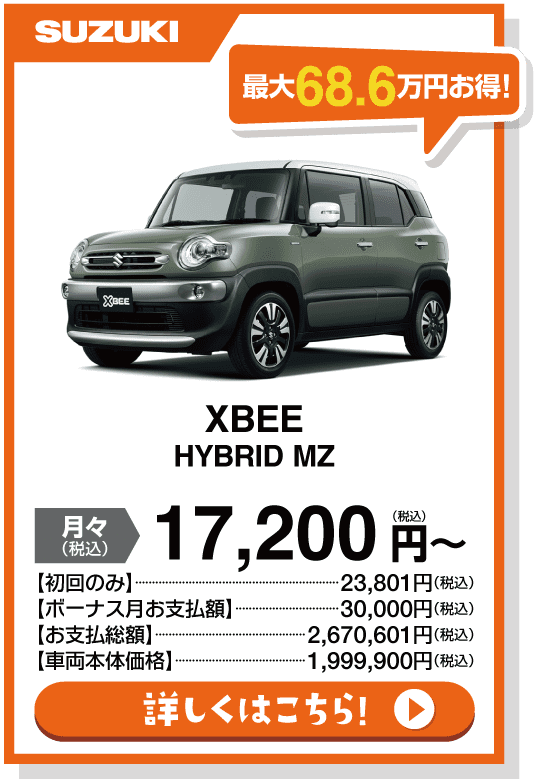 XBEE HYBRID MZ