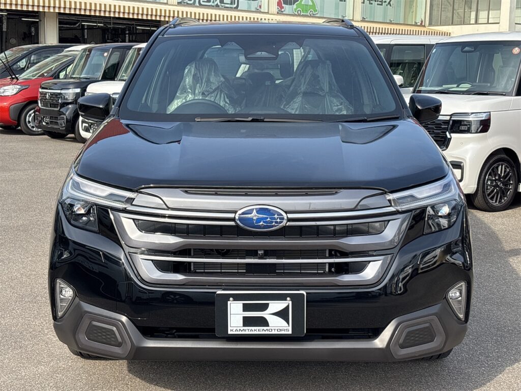 外装：フロントグリル